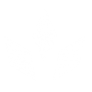 cropped Kaiser Day Logo Colour Cannaceuticals white 02