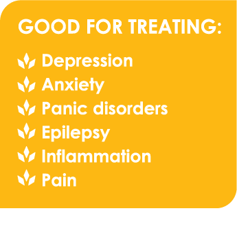 gftboxes Daytime Vape