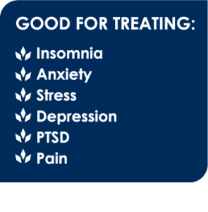 gftboxes Sleep Drops 3