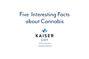 5 interesting facts about cannabis