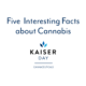 5 interesting facts about cannabis