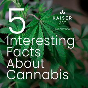 kaiserdaycannaceuticals5factsaboutcannabis
