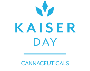 KDLOGOBRIGHTBLUE
